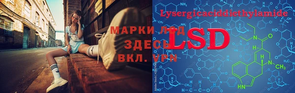 ГАЛЛЮЦИНОГЕННЫЕ ГРИБЫ Арсеньев