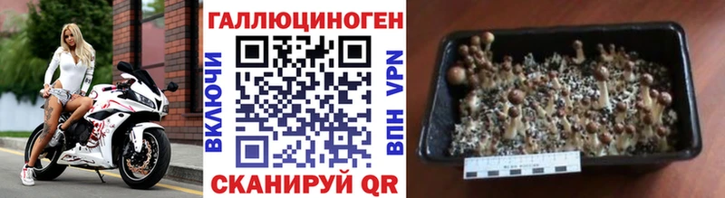 Псилоцибиновые грибы Magic Shrooms цены наркотик Цивильск
